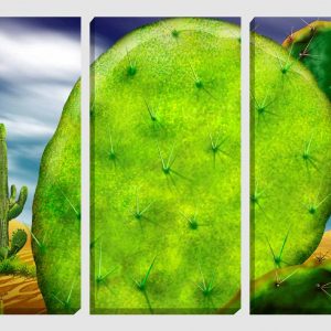 Quadro Cactus nel deserto set 3