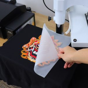 Stampa i tuoi transfer con la stampa DTF (Direct to Film)