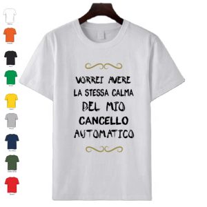 T-Shirt uomo donna in cotone manica corta personalizzata con Frase " Vorrei avere.."